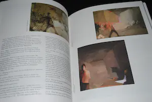 Constant - 5 boeken kopen? Bied vanaf 60!