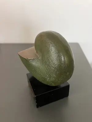 Tom Waakop Reijers - Compositie Nautilus kopen? Bied vanaf 229!