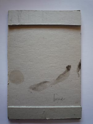 Irene van den Bos - Black Face kopen? Bied vanaf 12!