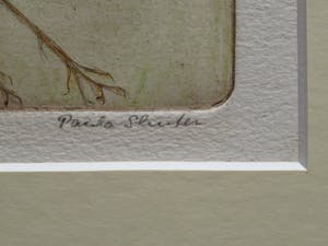 Paula Sluiter - Zonder titel kopen? Bied vanaf 50!