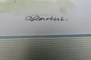 Bob Brobbel - Den Bosch St. Jan Basiliek kopen? Bied vanaf 1!