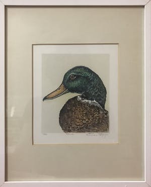 Erica Sijnja - Eend kopen? Bied vanaf 20!