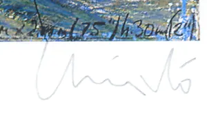 Christo - Handgesigneerd exemplaar The Umbrella's met stofmonster - Ingelijst kopen? Bied vanaf 1!