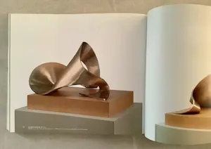 Anton Henning - Antonym kopen? Bied vanaf 60!