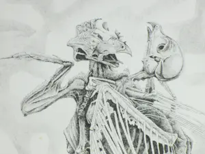 Gerard van Rooy - Danse Macabre II - Ets kopen? Bied vanaf 60!