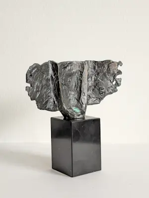 Bernadette Leijdekkers - Nieuwe visie kopen? Bied vanaf 99!