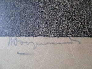 Willem Dooijewaard - Litho kopen? Bied vanaf 30!