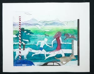 Sylvia Oudkerk - Kleurenets, Hard lopen kopen? Bied vanaf 1!