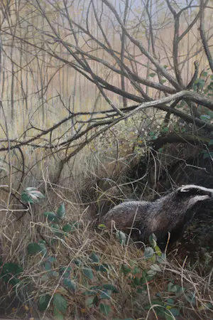 Pieter Verstappen - Das in de natuur kopen? Bied vanaf 400!