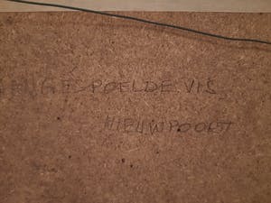 Antoon Luyckx - Aangespoelde vis Nieuwpoort kopen? Bied vanaf 15!