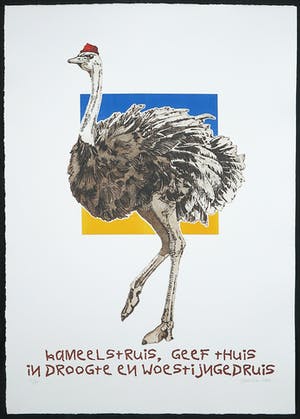 Els Maasson - Ets, Kameelstruis kopen? Bied vanaf 1!