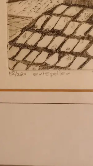 Jan A. Wieringa - de Ertepeller kopen? Bied vanaf 25!