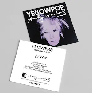 Andy Warhol - BRILLO - LED Neon - Limited Edition - genummerd - met CoA kopen? Bied vanaf 999!