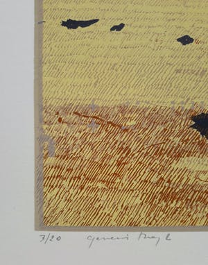 Martin R. Baeyens - Genesis Day 2 kopen? Bied vanaf 65!