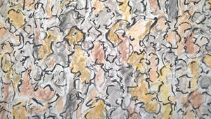 Jan Wolkers - gesigneerde aquarel / pastel kopen? Bied vanaf 1195!