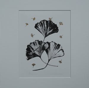 Maaike Feih - Gingko kopen? Bied vanaf 1!