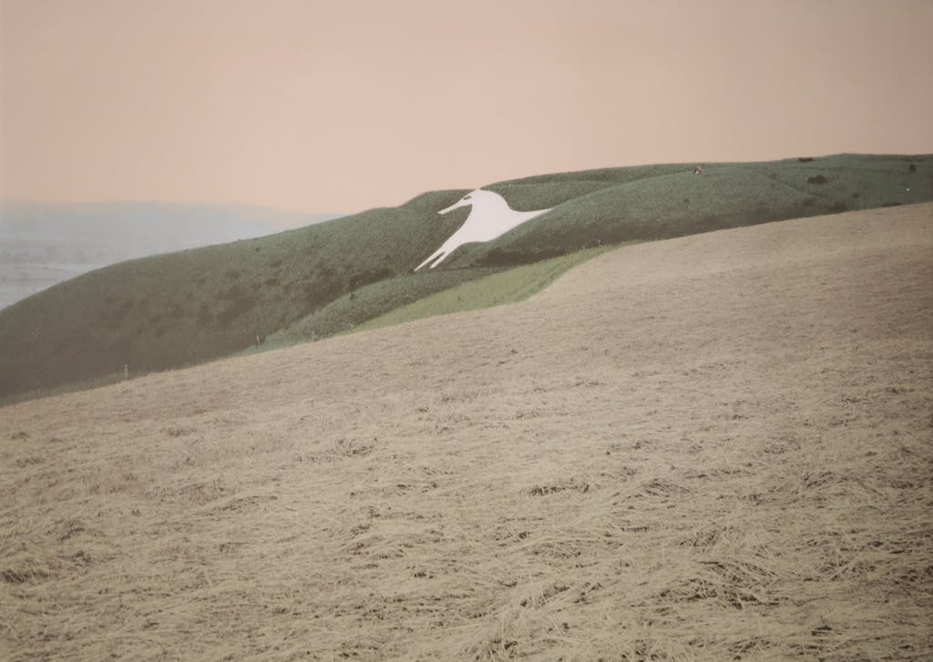 Marian Plug - Marian Plug: Zeefdruk, Paard in Wiltshire II verkocht voor € 35!