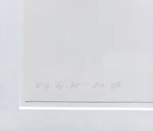 Joost Baljeu - W14, zeefdruk (netjes ingelijst) kopen? Bied vanaf 195!