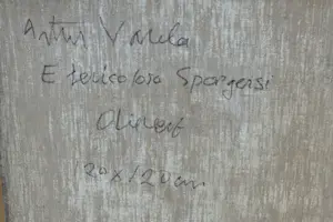 Arthur Varela - '' E Pericoloso Sporgersi '' kopen? Bied vanaf 95!