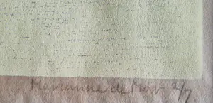 Marianne de Moor - Handgekleurde houtdruk "tropisch eiland" - zeer kleine oplage (7) - ingelijst kopen? Bied vanaf 35!