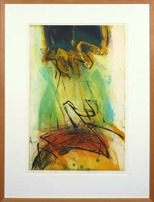 Hans Vredegoor - Kleurenets, Cascatelle - Ingelijst verkocht voor € 35!