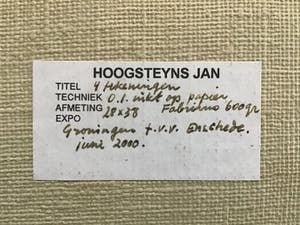 Jan Hoogsteyns - 4 Tekeningen op fabriano 600 mg papier. kopen? Bied vanaf 70!