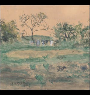 Toon Kelder - landschap kopen? Bied vanaf 1!