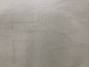 Kees van Dongen - In het ziekenhuis - 1925 kopen? Bied vanaf 165!