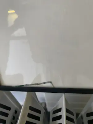 Francis Hoogland - 3-luik Koeien kopen? Bied vanaf 200!