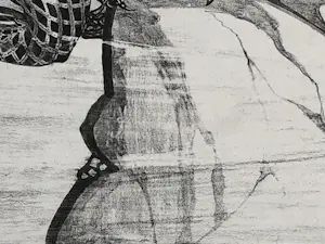 Theo van Hoytema - Leguaan, zittend op een steen in het water kopen? Bied vanaf 40!