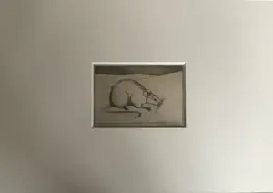 Jan Mankes - Originele Heliogravure Muis 1923 kopen? Bied vanaf 110!