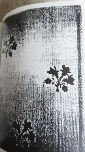 Christopher Wool - CATS IN BAG BAGS IN RIVER kopen? Bied vanaf 120!