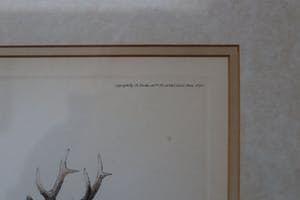 George Frederic Rotig - Cerf avec chevreuil et faisan kopen? Bied vanaf 50!