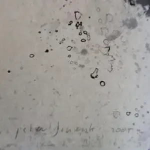 Peter Schenk - collage en acryl op zeefdruk (unica) kopen? Bied vanaf 50!