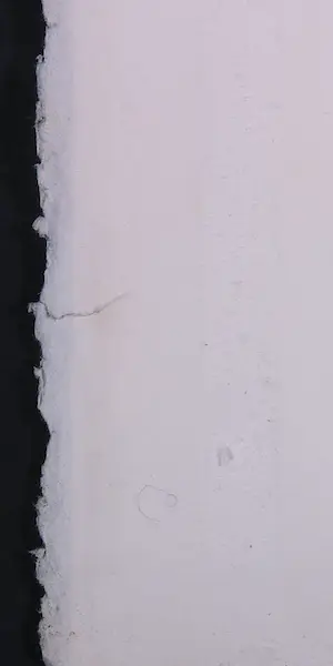 Corneille - Litho, Femme et chat kopen? Bied vanaf 100!