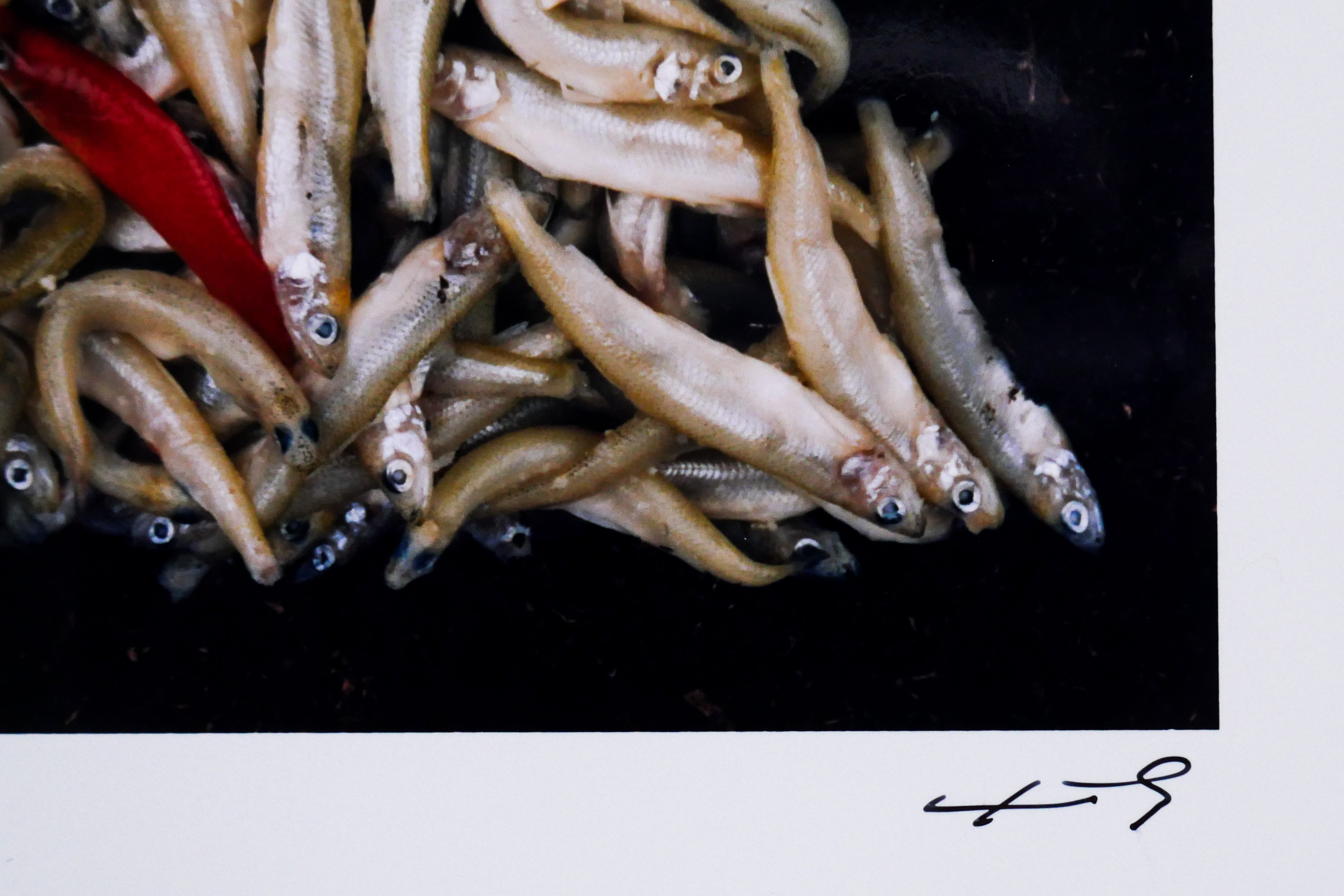 Ludo Geysels - The best of two worlds kopen? Bied vanaf 35!