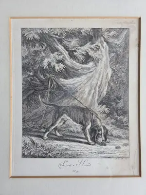 Johann Elias Ridinger - Vier gravures. Jachthonden. Ingelijst. kopen? Bied vanaf 160!