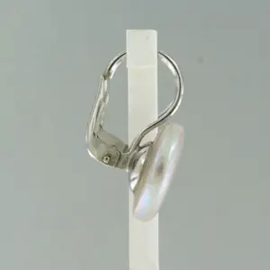 18k witgouden oorhangers bezet met parelmoer - 4.3 gram kopen? Bied vanaf 375!