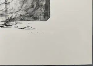 Dirkje Kuik - vergezicht – gesigneerde litho kopen? Bied vanaf 49!