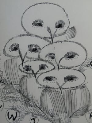 Chrysiis - Inkttekening , Ontwerp voor Kerstkaart 1978 + Boekje kopen? Bied vanaf 1!