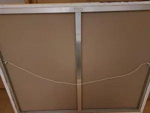 Dick Tasma - Krachtige stier kopen? Bied vanaf 450!