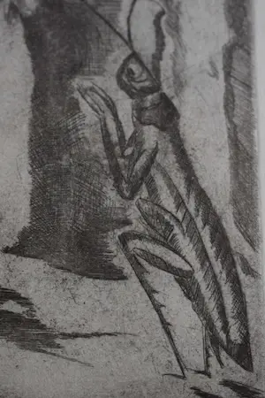 Jeanne Bieruma Oosting - Ets - De Mier en de Krekel kopen? Bied vanaf 30!