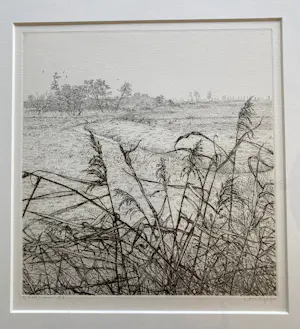 Reinder Homan - Ets, Landschap met riet in de polder ‘88 kopen? Bied vanaf 65!
