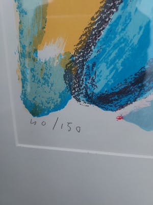 Anton Vrede - Papegaaien met gezicht kopen? Bied vanaf 50!