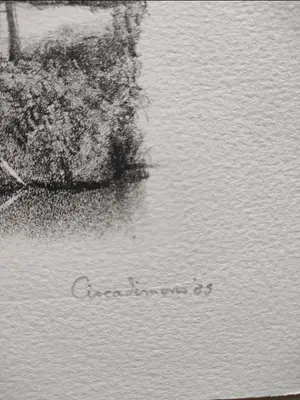 Cisca Simons - Vagantenpad Bunnik - litho uit 1985 kopen? Bied vanaf 1!