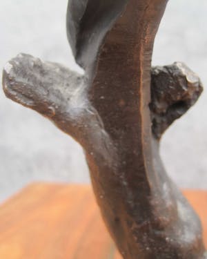 Klaas van den Berg - Bronzen beer kopen? Bied vanaf 70!