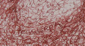 Hans Steggerda - Pentekening, Recht op staand - Ingelijst kopen? Bied vanaf 1!
