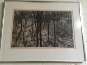 Paulien Wittenrood - Wolfheze I kopen? Bied vanaf 10!