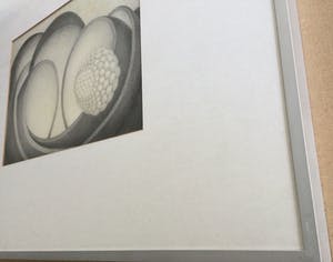 Sjaak Mous - Mysterie van de bevruchting | unieke potloodtekening (1974) - ingelijst kopen? Bied vanaf 17!