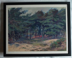 Klaas Pijlman - Ingelijste gouache , “Dennenbomen in Drenthe” - 1954 kopen? Bied vanaf 40!